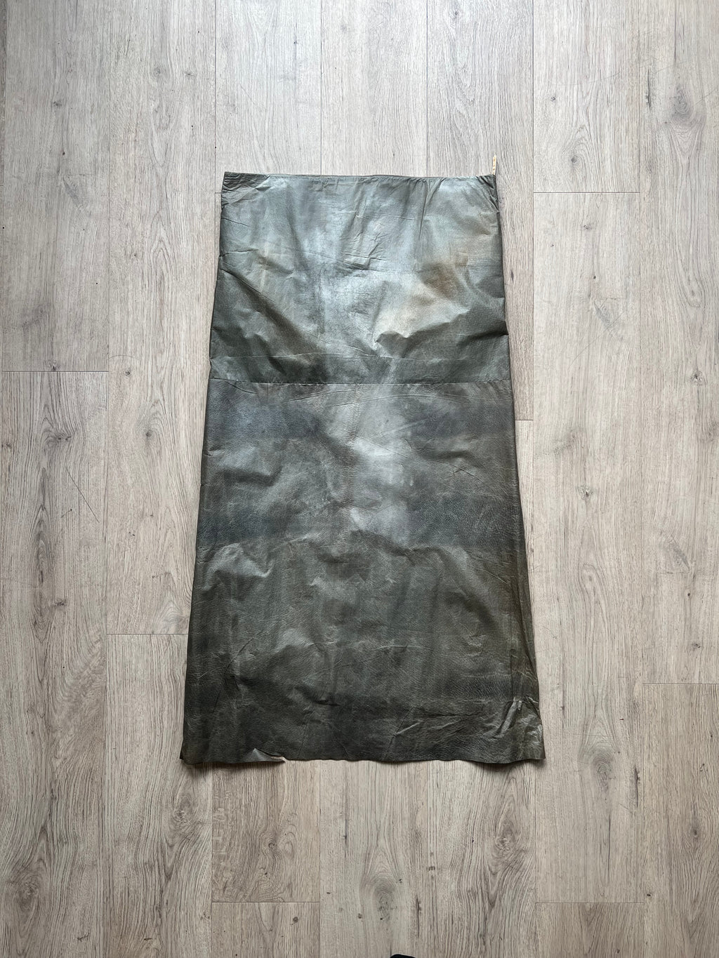 Carol Christian Poell Pig Skin skirt