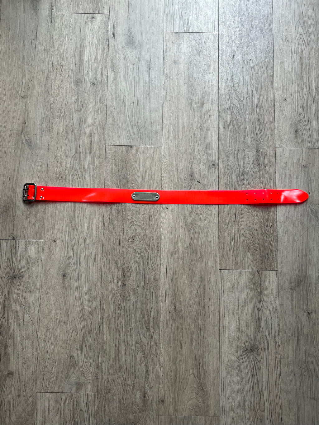 Walter van Beirendonck W and LT Belt