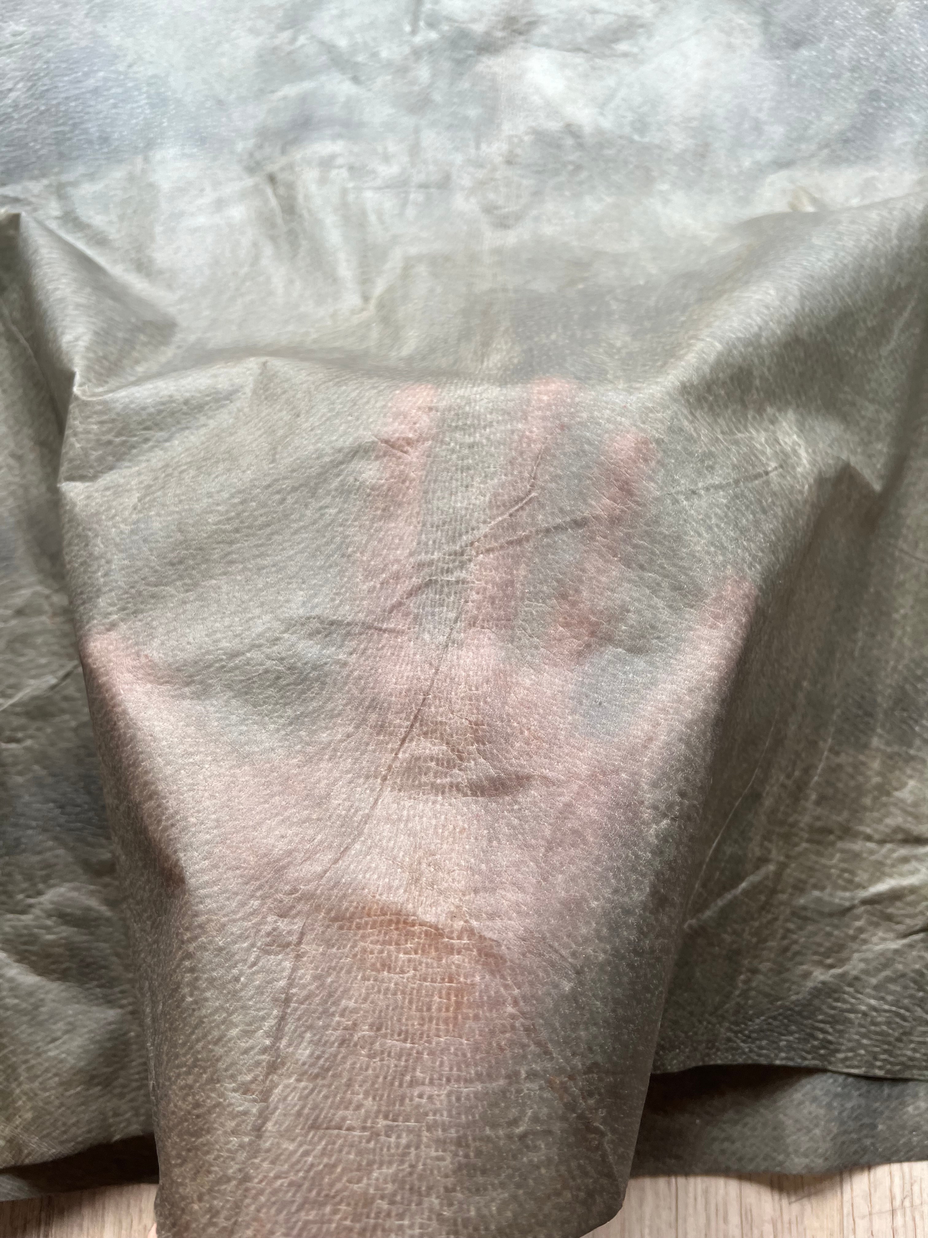 Carol Christian Poell Pig Skin skirt