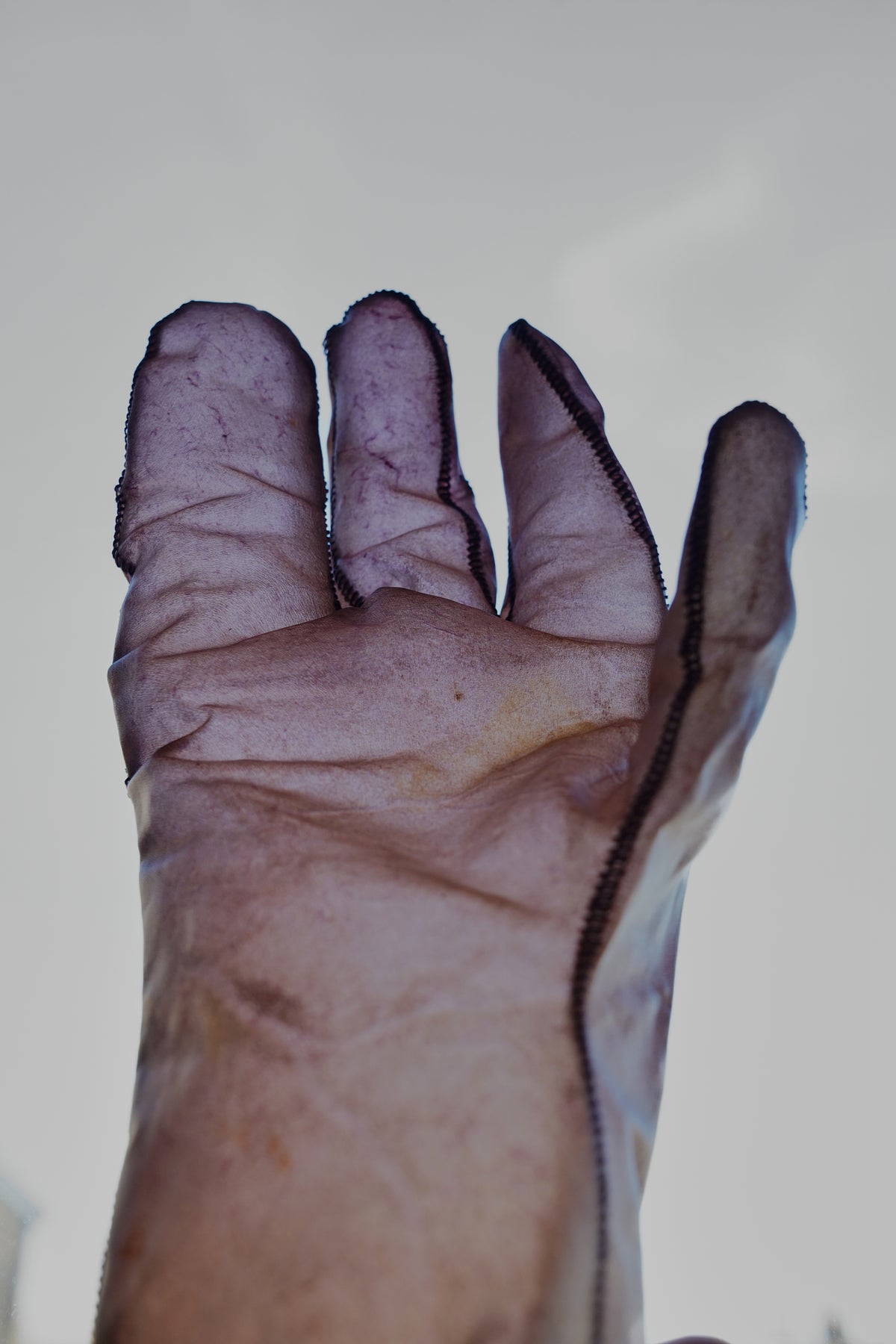 Boris Bidjan Saberi Transparent Horse Leather Gloves with 8 fingers