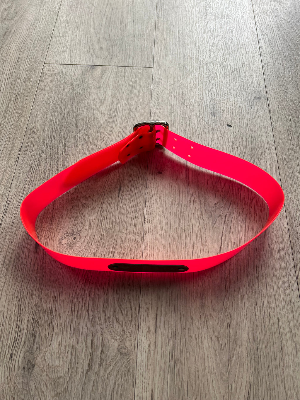 Walter van Beirendonck W and LT Belt